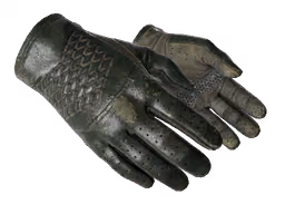 ★ Driver Gloves | Racing Green (Field-Tested)