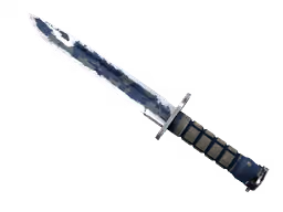 ★ Bayonet | Bright Water (Battle-Scarred)